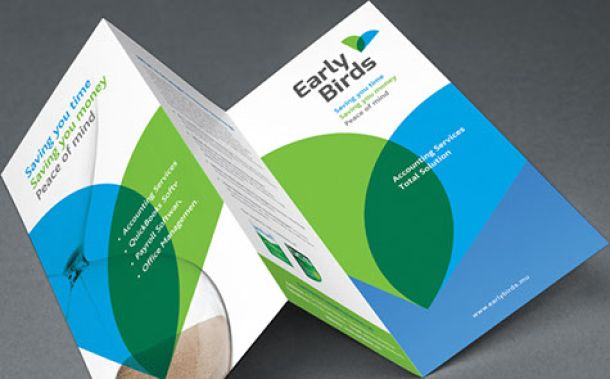 Early Birds Logo and Brochure Design